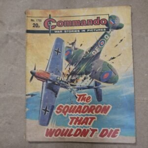 THE SQUADRON THAT WOULDN'T DIE