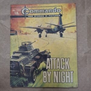 ATTACK BY NIGHT
